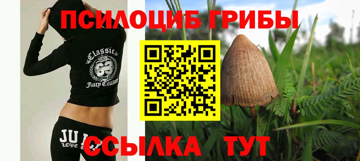 Ликино-Дулёво  Галлюциногенные грибы прущие грибы  Вход с VPN  Галлюциногенные грибы Psilocybe 